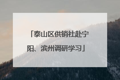 泰山区供销社赴宁阳、滨州调研学习